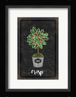 Apple Topiary Framed Print
