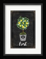 Lemon Topiary Framed Print