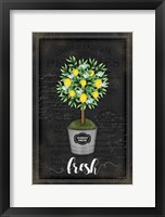 Lemon Topiary Framed Print