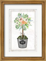 Floral Topiary II Fine Art Print