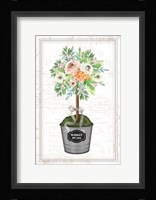 Floral Topiary II Framed Print