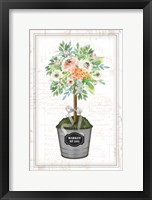 Floral Topiary II Framed Print