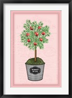 Apple Topiary - Pink Fine Art Print
