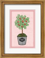 Apple Topiary - Pink Fine Art Print