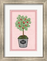 Apple Topiary - Pink Fine Art Print