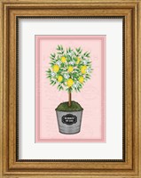 Lemon Topiary - Pink Fine Art Print