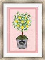 Lemon Topiary - Pink Fine Art Print