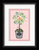 Floral Topiary II - Pink Framed Print