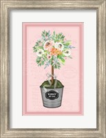 Floral Topiary II - Pink Fine Art Print