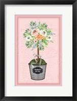 Floral Topiary II - Pink Framed Print