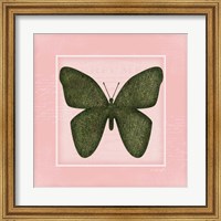 Butterfly - Pink Fine Art Print