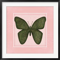 Butterfly - Pink Fine Art Print