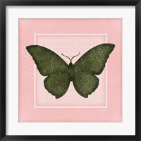 Butterfly II - Pink Fine Art Print