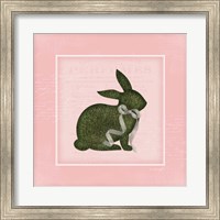 Bunny II - Pink Fine Art Print