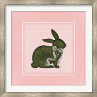 Bunny II - Pink Fine Art Print