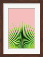 Pink Palm I Fine Art Print
