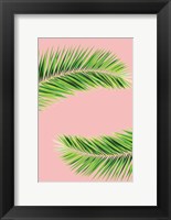 Pink Palm II Fine Art Print