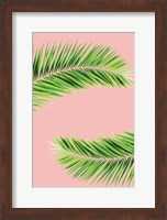 Pink Palm II Fine Art Print