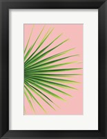 Pink Palm III Fine Art Print