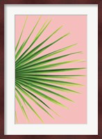 Pink Palm III Fine Art Print