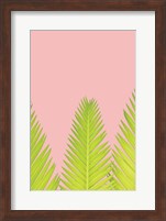 Pink Palm IV Fine Art Print