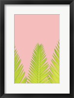 Pink Palm IV Fine Art Print
