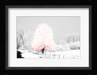 Pink Tree Fine Art Print