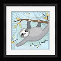 Slow Down Sloth Framed Print