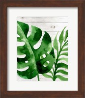 Banana Leaf III Fine Art Print