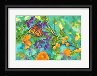 California Monarch Fine Art Print