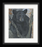 Backyard Visitor Fine Art Print