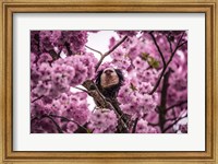 Blossem Tree Monkey II Fine Art Print