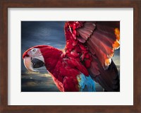 Ara Wings Fine Art Print