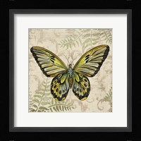 Butterfly Daydreams - A Framed Print
