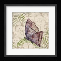 Butterfly Daydreams - B Framed Print