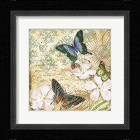 Inspirational Butterflies - A Framed Print