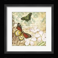 Inspirational Butterflies - B Framed Print