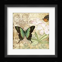 Inspirational Butterflies - C Framed Print