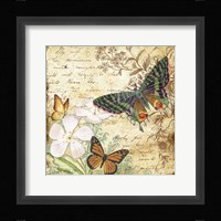 Inspirational Butterflies - D Framed Print