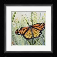 Botanical Beauties A Fine Art Print