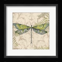Dragonfly Daydreams - C Framed Print
