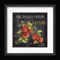 Orchard Fresh Apples Framed Print