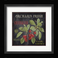 Orchard Fresh Cherries Fine Art Print