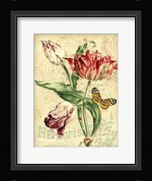 French Florals 2 Framed Print