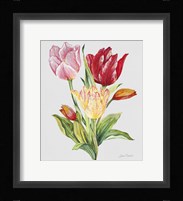 Botanicals 9 Fine Art Print