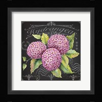Hydrangeas 2 Framed Print