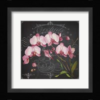 Orchids 2 Fine Art Print