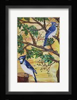 Monica's Jays Fine Art Print