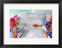 Mystic Secretary Framed Print