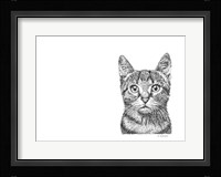 Cat Framed Print
